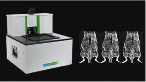 江苏小动物活体成像